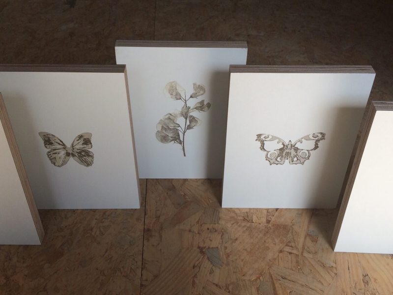 Herbarium serie